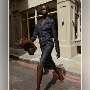 Zara fitted Dark Denim Button-Down Dress